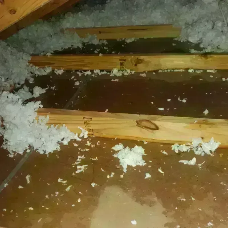 Attic Water Damage in Mojave, CA