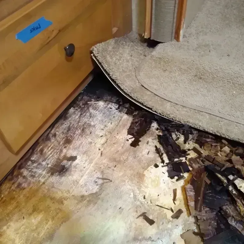 Wood Floor Water Damage in Mojave, CA